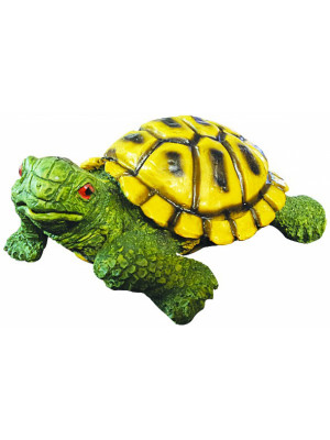 Orta Boy Kaplumbağa